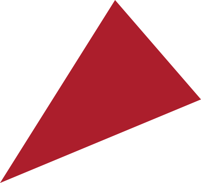A red, irregular triangle with three sides of different lengths and angles, positioned against a transparent background.